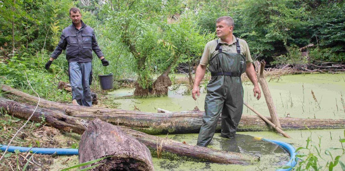 Sinice, vodny kvet, cyanobacteria, odstranovanie sinic, ciste jazero